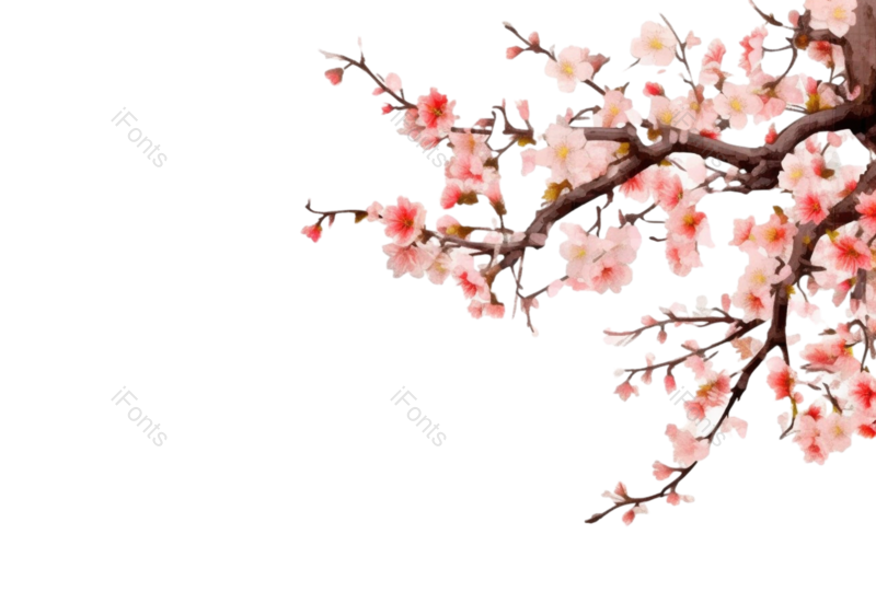 叶子图片,装饰元素,插画PNG,传统文化免抠素材